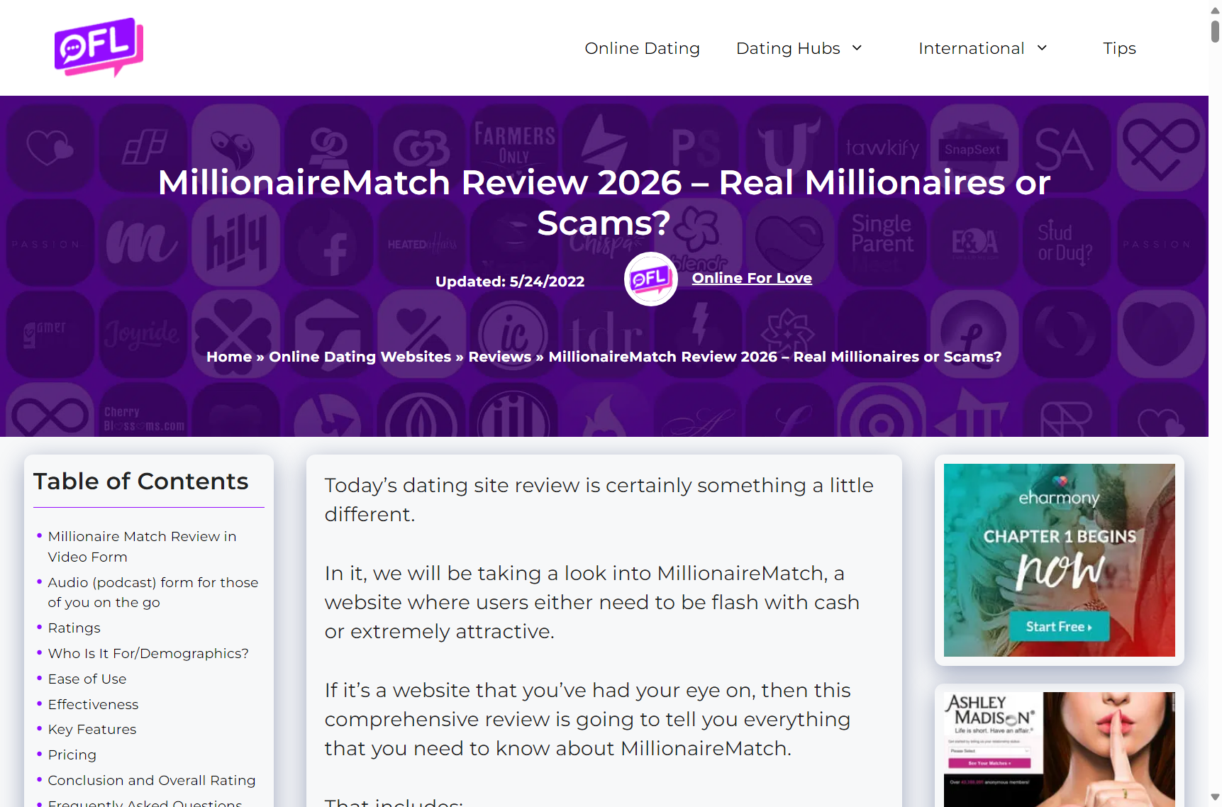 A visual representation of the demographic focus for professional-focused dating platforms.